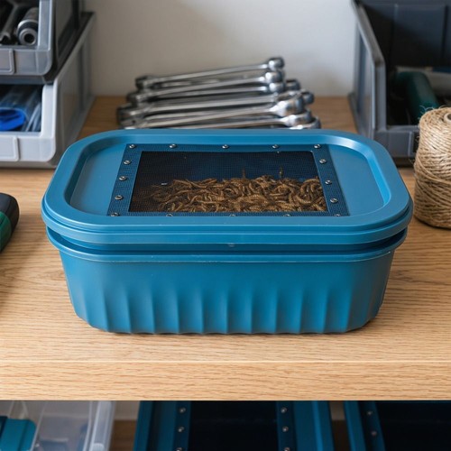 Mealworm breeding kit - mealworm,