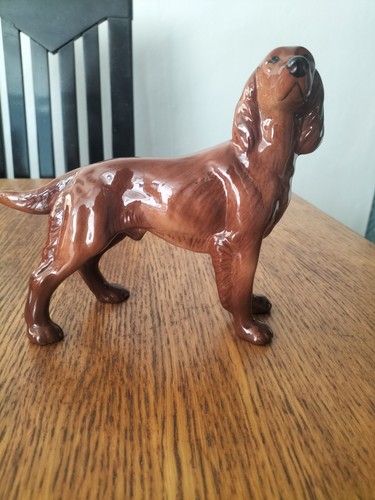 Vintage irish red setter dog - irish,