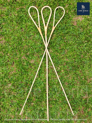 2pc rattan cane scholastic - rattan,