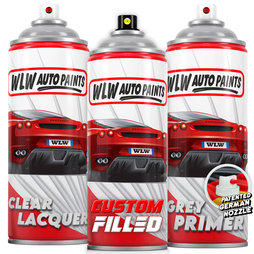 Aerosol paint for pontiac - aerosol,