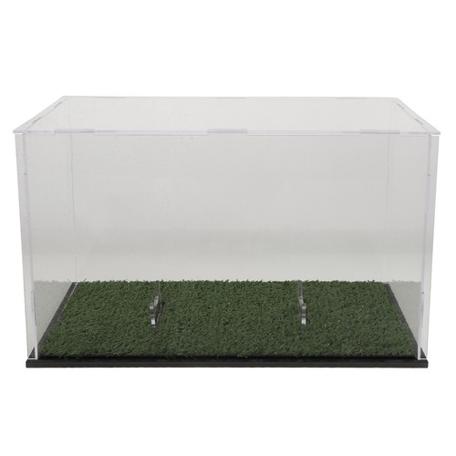 Rugby ball display case - rugby,