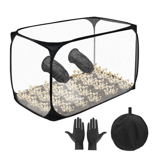 Mushroom cultivation still - mushroom,