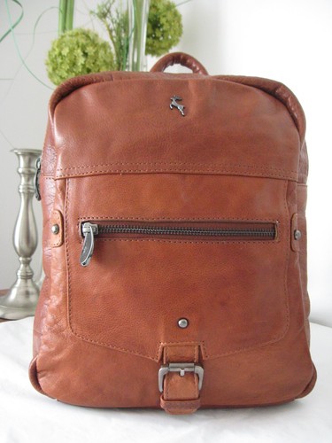 Ashwood beautiful chestnut - ashwood!!!,