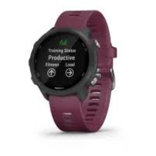Garmin forerunner 245 - 245, gps
