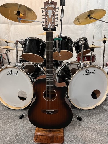 Angelico premier string - d'angelico, 12-string