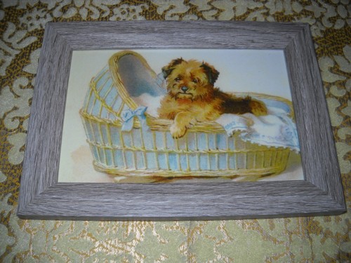 Dog lays baby - lays,