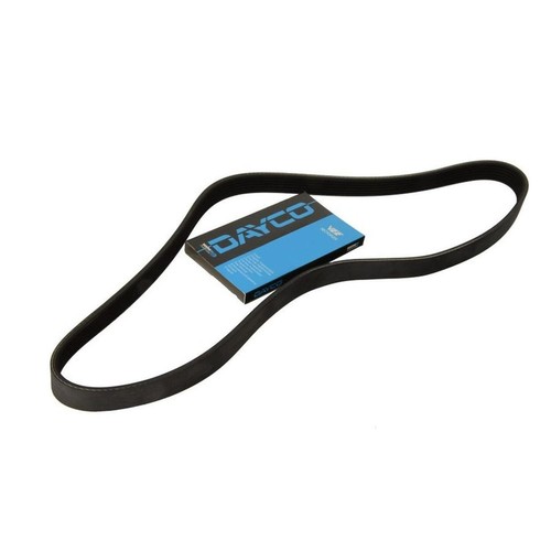Dayco day6pk1025 ribbed belt - v-ribbed,