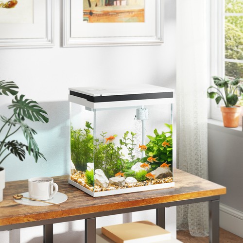14l fish tank - fish, glass