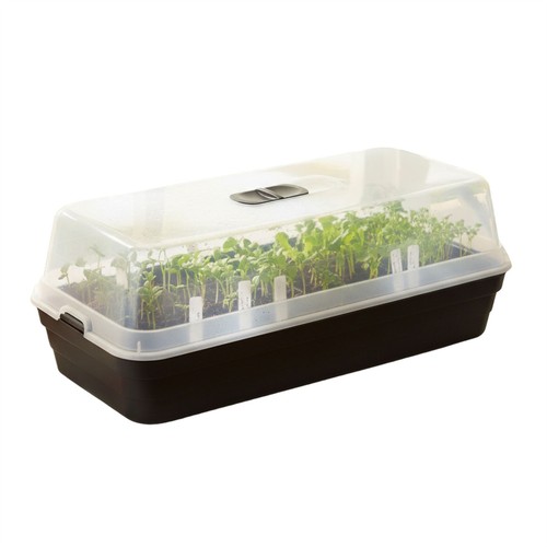 Seed tray propagator - seed, with
