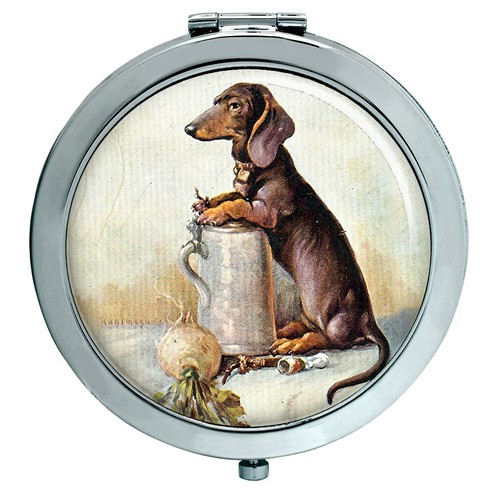 Miniature dachshund compact - dachshund,