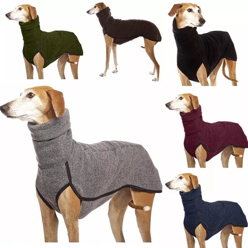 Pet dog winter high collar - pet,