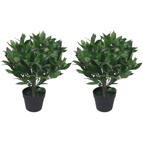 Pair 50cm dwarf - 50cm, artificial
