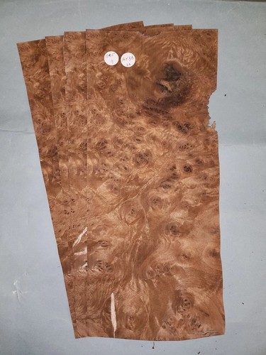 American walnut burr veneer - burr,