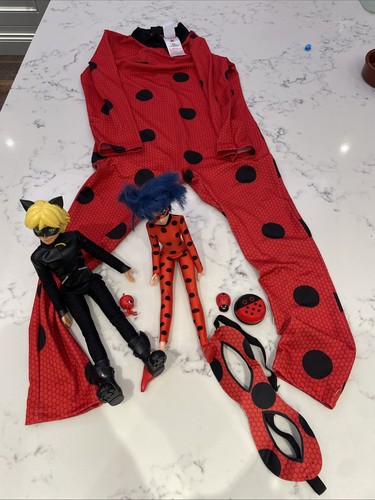 Lady bug costume outfit - costume, aged