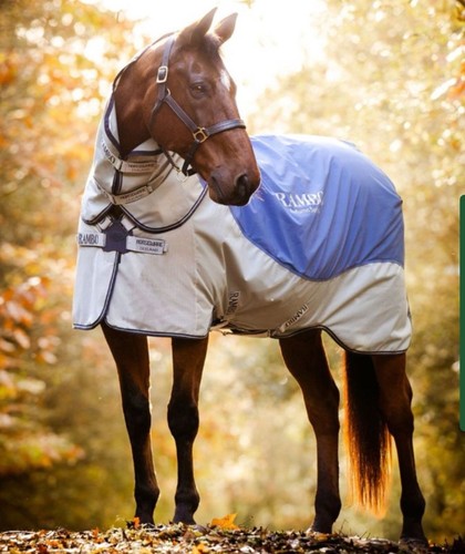 Horseware ireland rambo autumn - horseware,