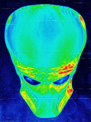 Full size predator - full-size,