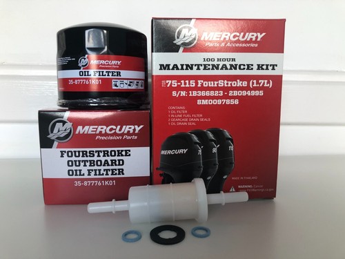 Mercury mariner 100hr service - 100hr,