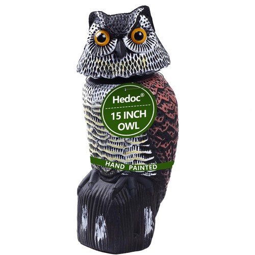 Fake owl bird deterrent - bird,