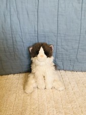 Fluffy Ragdoll Cat Plush Toy