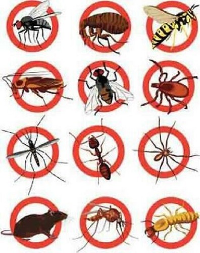 Rentokil insect traps - rentokil,