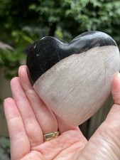 Petrified Fossilised Wood