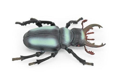 Stag beetle realistic model - stag,