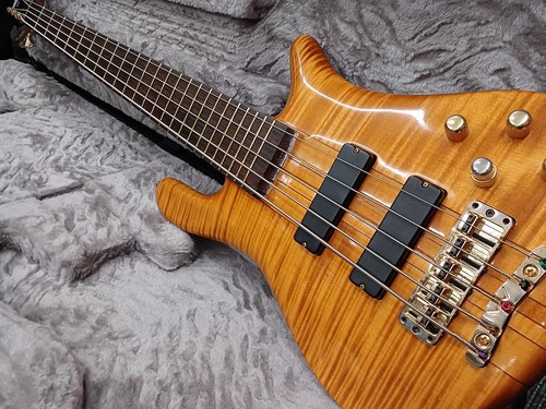 Warwick streamer stage - warwick,