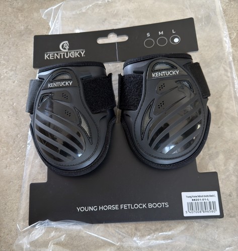 Kentucky young horse fetlock - kentucky,