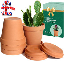 15Cm Clay Pot for Plant with