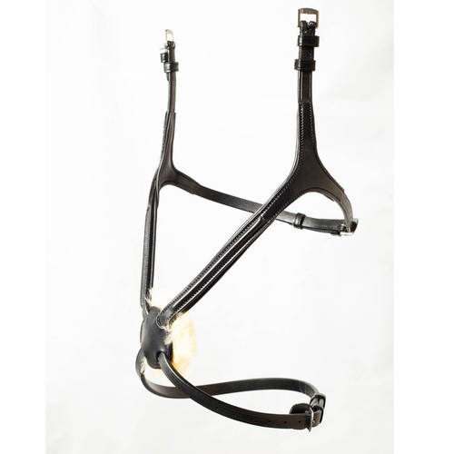 Ecorider comfort grackle - comfort,