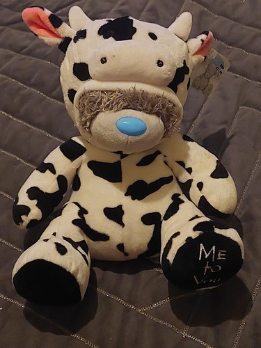 You tatty teddy - you, dressed