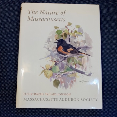 The nature massachusetts - nature,