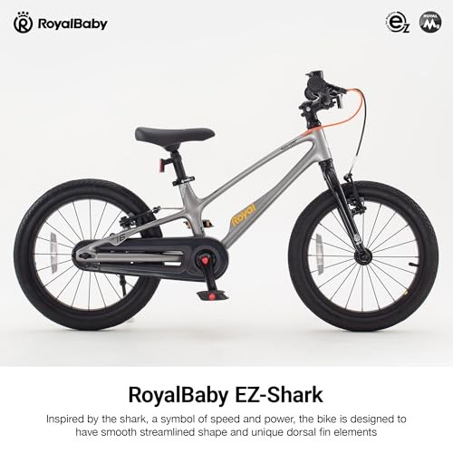 Royalbaby magnesium kids bike - kids,