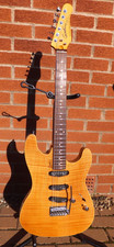 Godin Passion RG3 Electric
