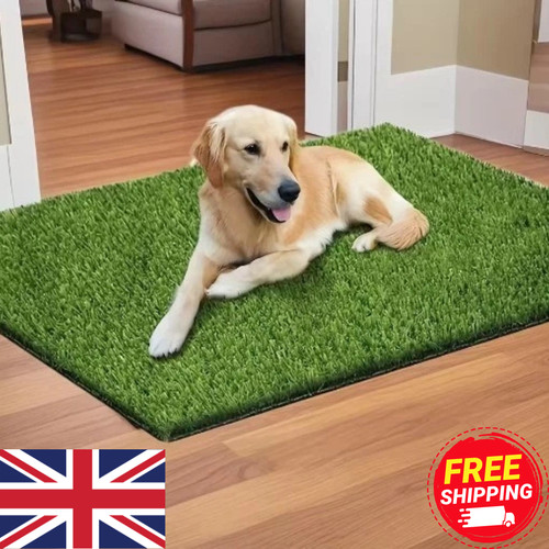 Pet dog toilet mat indoor - dog,