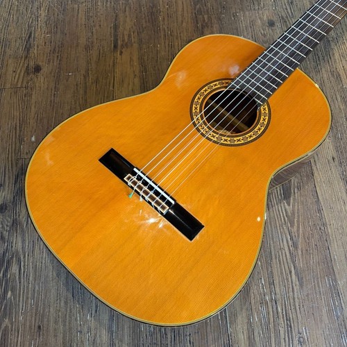 Takamine classical - takamine, no.30