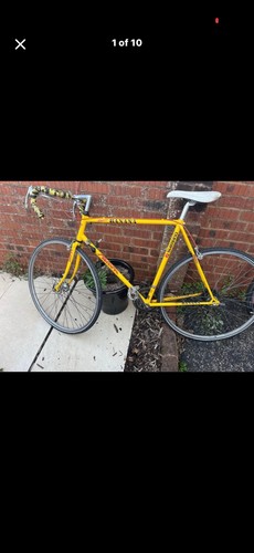 Falcon team banana racing road - falcon,