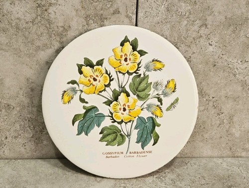 Portmeirion botanic garden - botanic,
