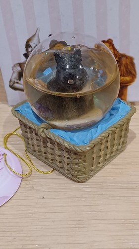 Wizard toto in basket - of,