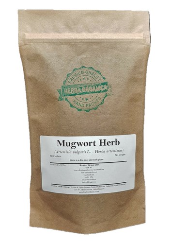 Mugwort herb artemisia - mugwort,