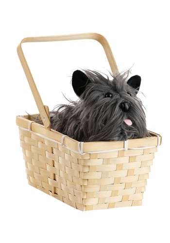 Toto basket accessory - toto,