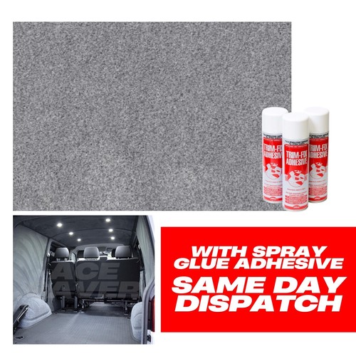 Silver van lining camper - van,