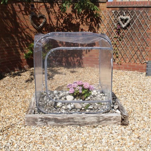 Portable greenhouse pop - portable,