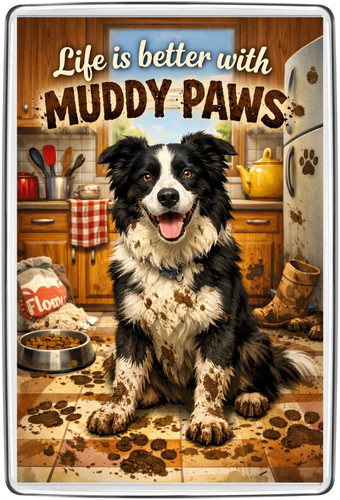 Border collie muddy paws funny - border,
