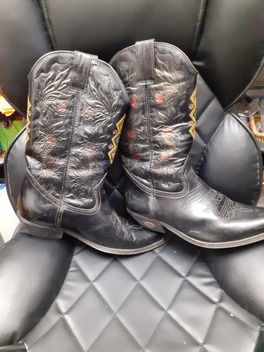 Kentucky western black - kentucky`s,