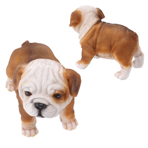 Standing bulldog english - bulldog,