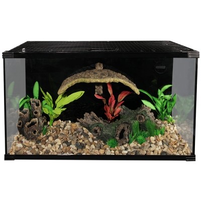 Reptile one complete turtle - one,