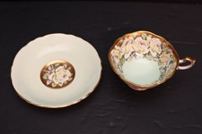 PARAGON Double Warrant Cabbage