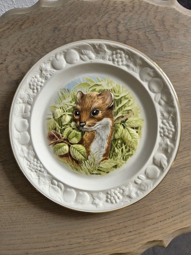 Vintage royal worcester - vintage,