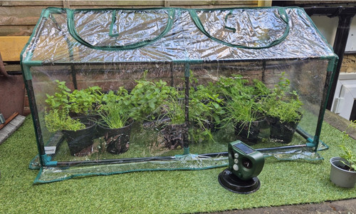 Mini garden greenhouse - garden,